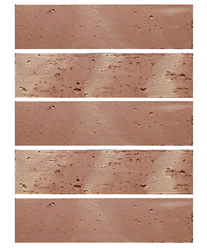 2022.5.16_11.33.47_7917