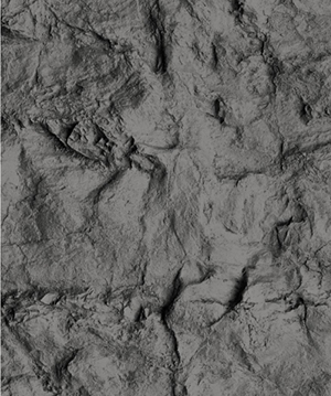 2025.4.12_17.36.2_3162