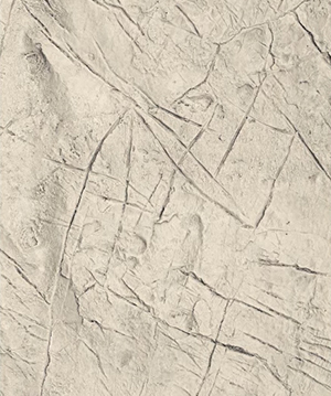 2025.4.12_17.48.0_5595