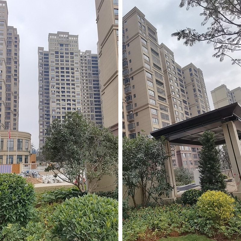 Z6·尊龙「中国区」官方网站