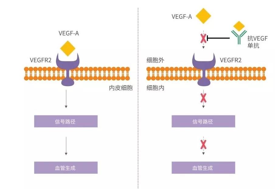 中国·永利(88858cc·VIP认证)官网 - GREEN LIFE