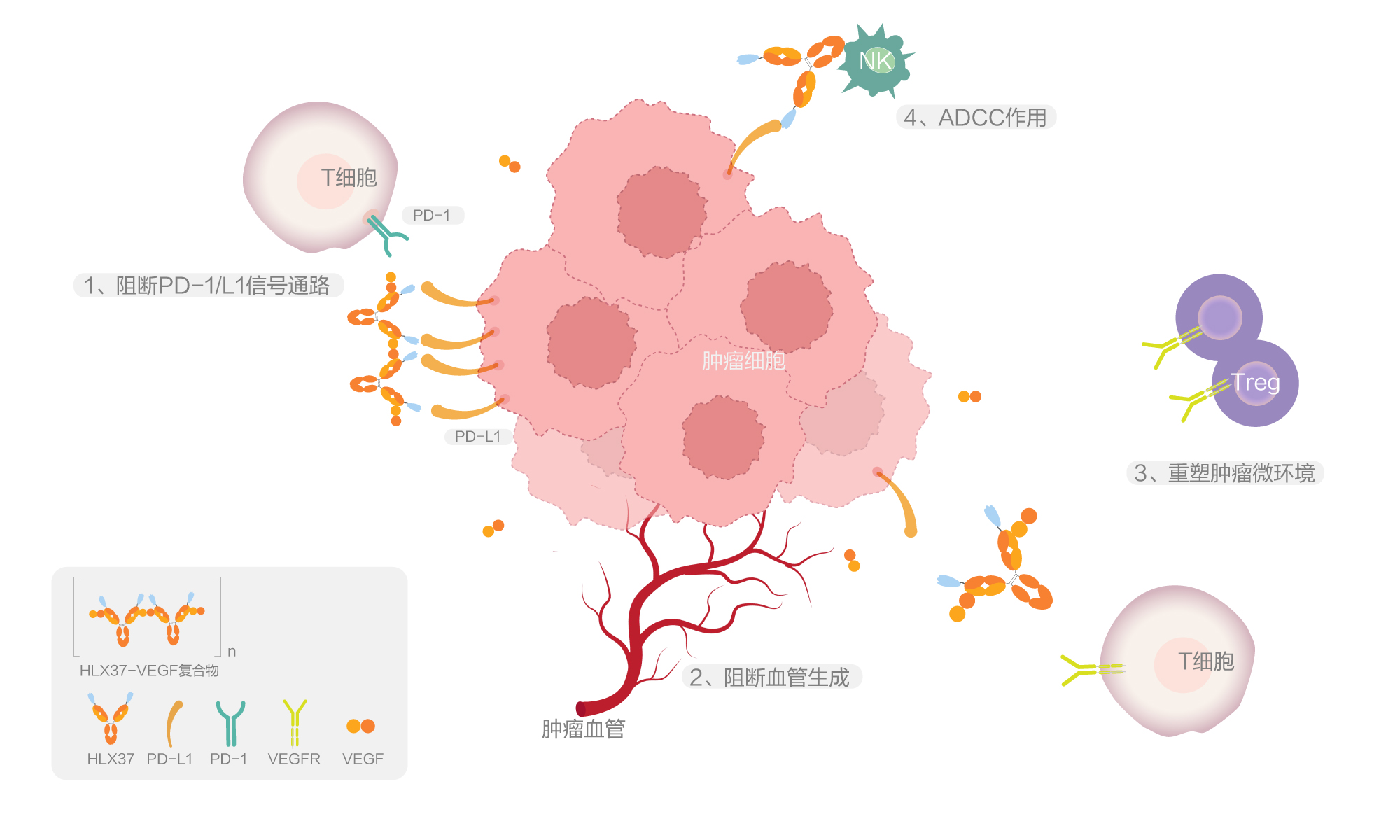 中国·永利(88858cc·VIP认证)官网 - GREEN LIFE